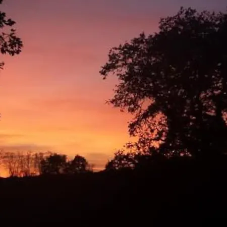 Feriehus Ideal Pour Se Ressourcer Faget-Abbatial