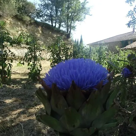 Feriehus Ideal Pour Se Ressourcer *