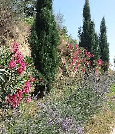 Ideal Pour Se Ressourcer