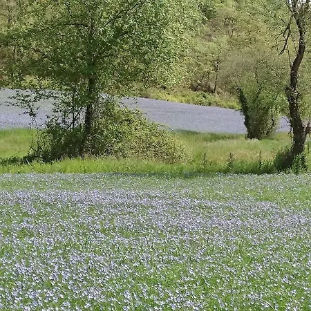 Ideal Pour Se Ressourcer