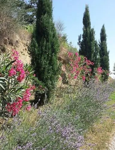 Ideal Pour Se Ressourcer