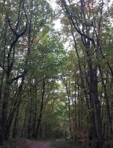 Ideal Pour Se Ressourcer Σπίτι διακοπών *