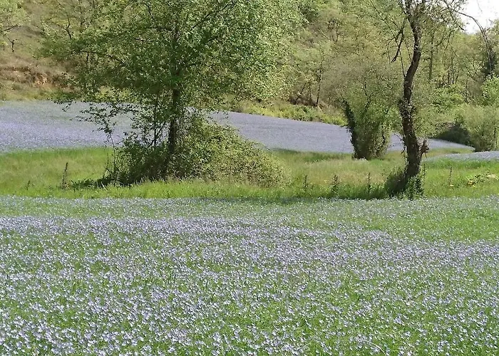 Ideal Pour Se Ressourcer