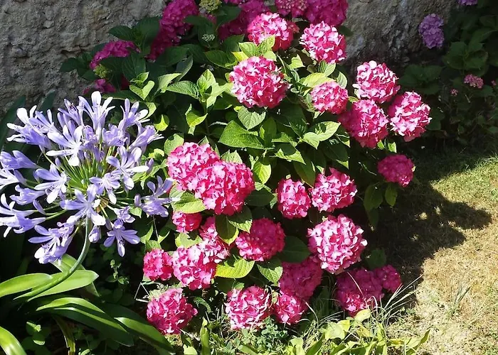 Σπίτι διακοπών Ideal Pour Se Ressourcer