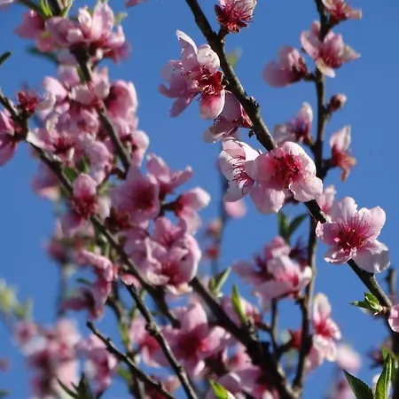 Hébergement de vacances Idéal Pour Se Ressourcer