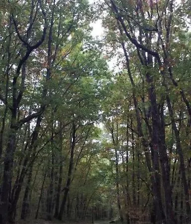 Idéal Pour Se Ressourcer Hébergement de vacances *