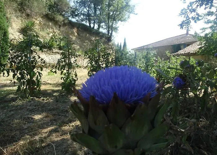 بيت للعطل Ideal Pour Se Ressourcer *