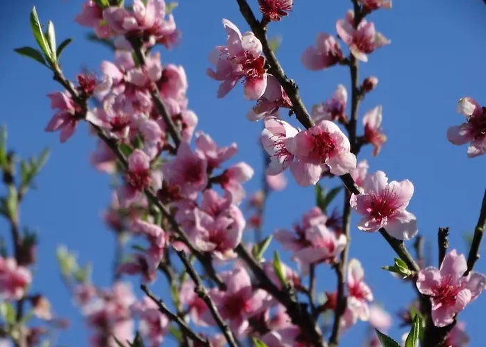 بيت للعطل Ideal Pour Se Ressourcer